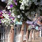 Purple and white flowering hanging basket in front of arched window in red brick wall
