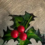 resin dipped holly leaves with berries