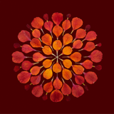 impression artwork fading from dark red to orange petal dots ina circular effect