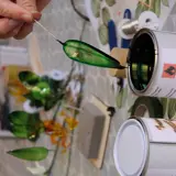 resin dipped flowers