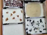 six handmade soaps on a table some with petals in