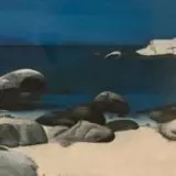 pebbles and rocks on a sandy beach with the sea in the background