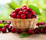 Cherry Fayre and 1940s Weekend